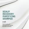 Nioxin Scalp Recovery System™ Purifying Shampoo, 200ml